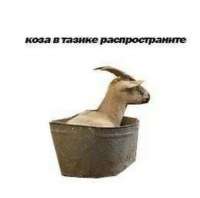 image.jpeg