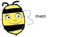 015492C3-B8EA-4879-9051-7FE7D20BA3BE.jpeg
