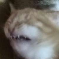 16061346366900.png