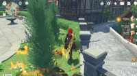 12425.mp4