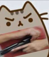 pusheengun.jpg