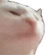 catjam.gif