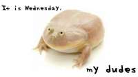 wednesdaymydudeswide.jpg