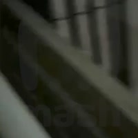 1608885142454.mp4