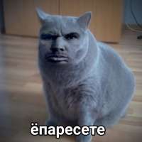 j-GWe-bbPR0.jpg