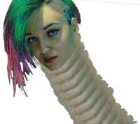 21564564.png