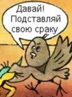 D878D74C-3CBC-44DA-B283-17008D4DB142.jpeg