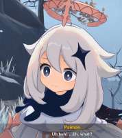 pmon01.JPG