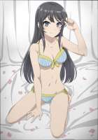 [HorribleSubs] Seishun Buta Yarou wa Bunny Girl Senpai no Y[...].jpg