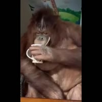 1573419993747.webm