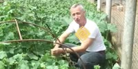 16096676358581.webm