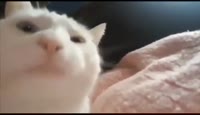 16055328988320.mp4