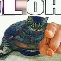 лох.jpg