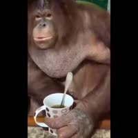 1576006943481.webm