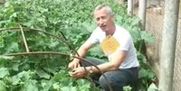 16096676358581.webm