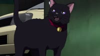 1519260063596.webm