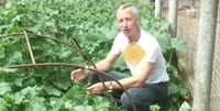 1539153435830.webm