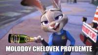 MOLODOY CHELOVEK PROYDEMTE.jpg