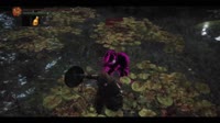 pebbo.mp4