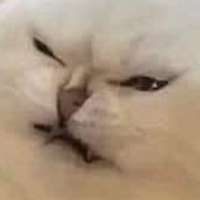 JPeyhF4TyeI.jpg