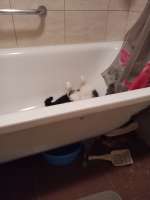 IMG20210116091217.jpg