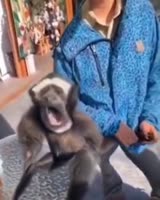 пог3.mp4