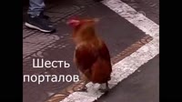 1061548973205.mp4