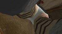2021-01-23 08-56-20-187.webm