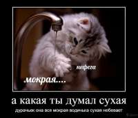 16035361833620.jpg