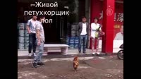 1578760779139.mp4