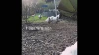 131235715313.mp4