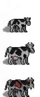 cowshow.png