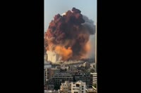16103694926230.webm