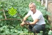 Доктор Дендро.jpg