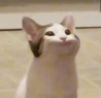 1522150859008.jpg