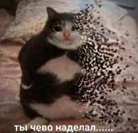 20200305194524.jpg