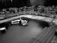 wasted.webm