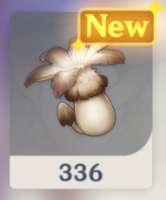 shrooms.jpg