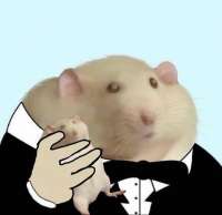 16035374689681.png