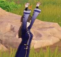 982024564566.gif