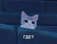 16092931617145.jpg