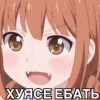 15849375024310.jpg