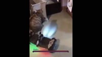 15877480884580.mp4
