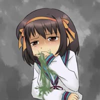 1548317914065.webm