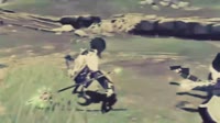 donovixxiao.webm