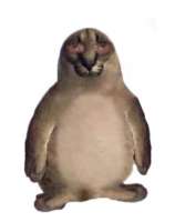 image.jpeg