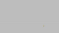 1614034538787.webm