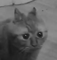 1486781489581.jpg