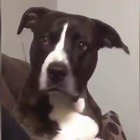 1614236484137.mp4