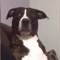 16035422224721.mp4